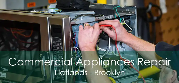 Commercial Appliances Repair Flatlands - Brooklyn
