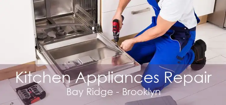Kitchen Appliances Repair Bay Ridge - Brooklyn