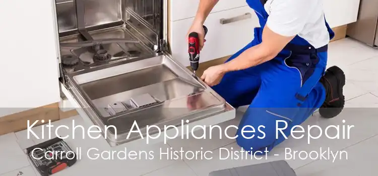Kitchen Appliances Repair Carroll Gardens Historic District - Brooklyn