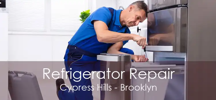 Refrigerator Repair Cypress Hills - Brooklyn